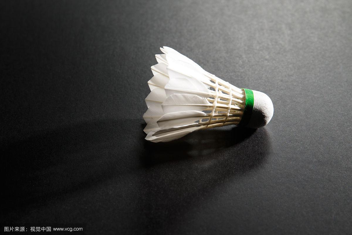 而林诗栋对 而林诗栋对